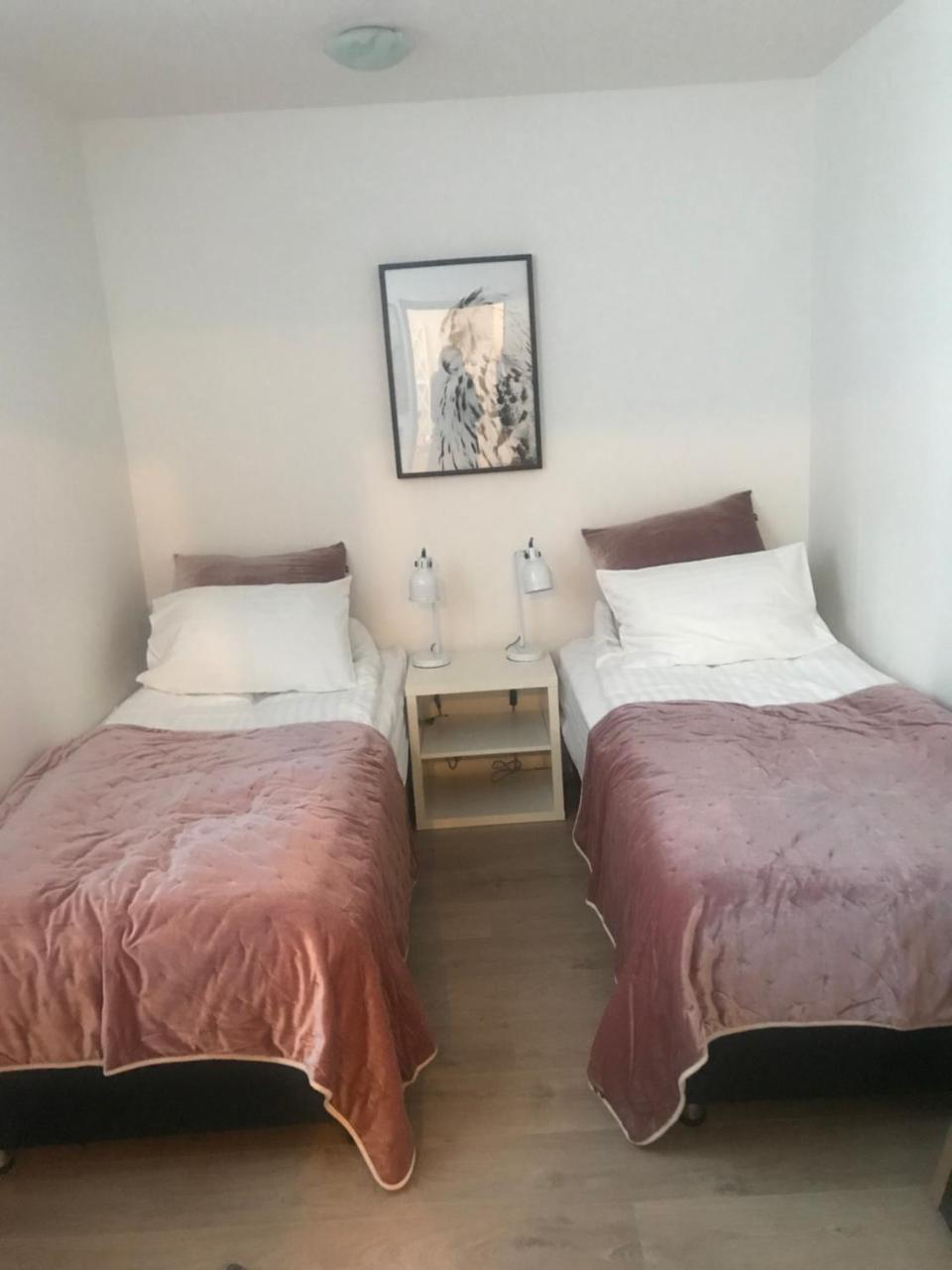10B Gamla Laeknishusith Hg15108 호텔 Saudarkrokur 외부 사진